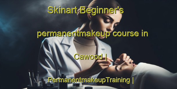 Skinart Beginner's permanentmakeup course in Cawood | PermanentmakeupTraining | PermanentmakeupClasses | SkinartTraining-Canada